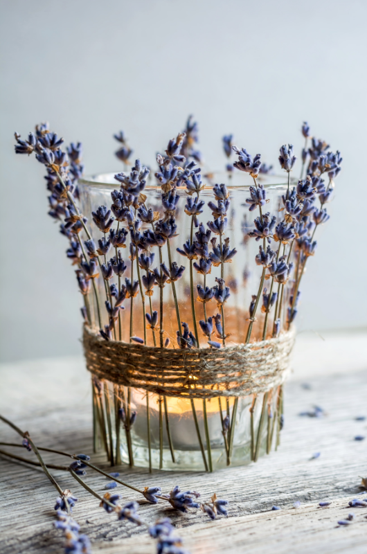 svícen s levandulí