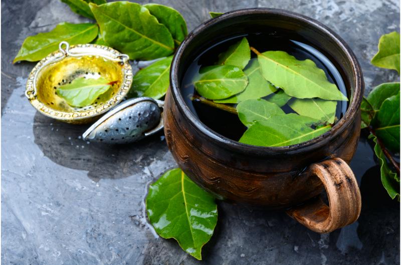 Zlepšete své zdraví s čajem z bobkového listu: 5 neduhů, které může zmírnit
