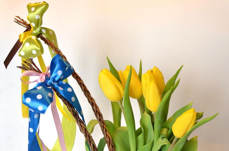 Jak uplést pomlázku z vrbového proutí: Tradiční velikonoční návod