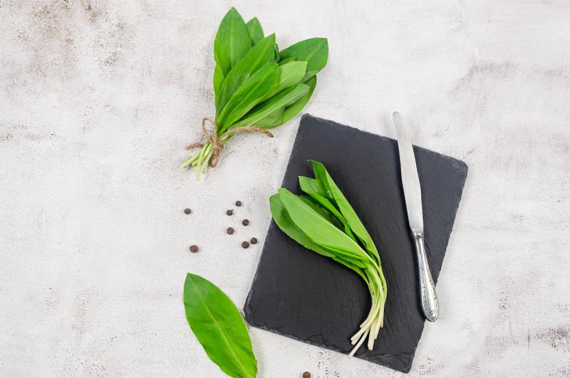 Jak správně sbírat medvědí česnek a na co si dát pozor