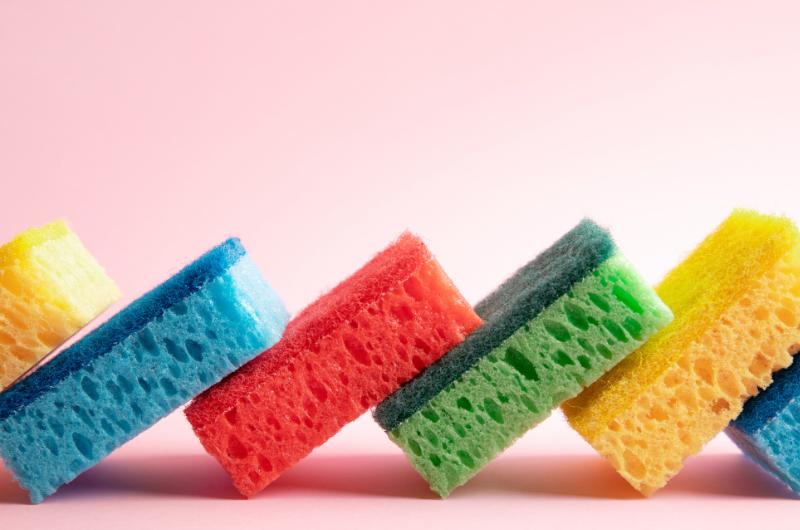 Levný trik za pár korun: Obyčejná houbička promění vaše květiny v záplavu květů!