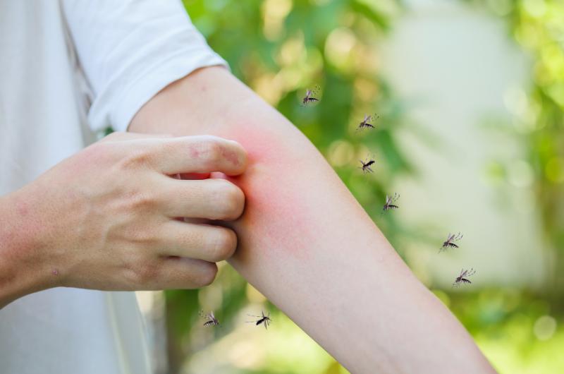 Komáři se vám už nikdy nepřiblíží! Vyzkoušejte osvědčené babské rady