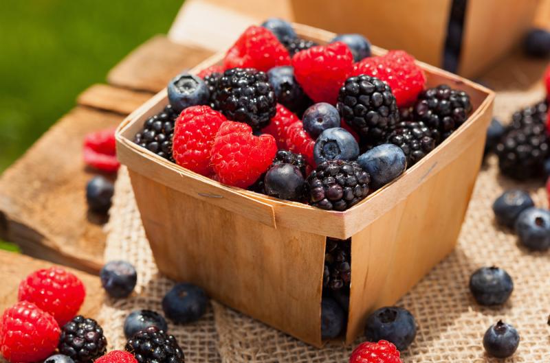 Více borůvek, méně potíží ve stáří? Studie ukazuje jasný vliv flavonoidů