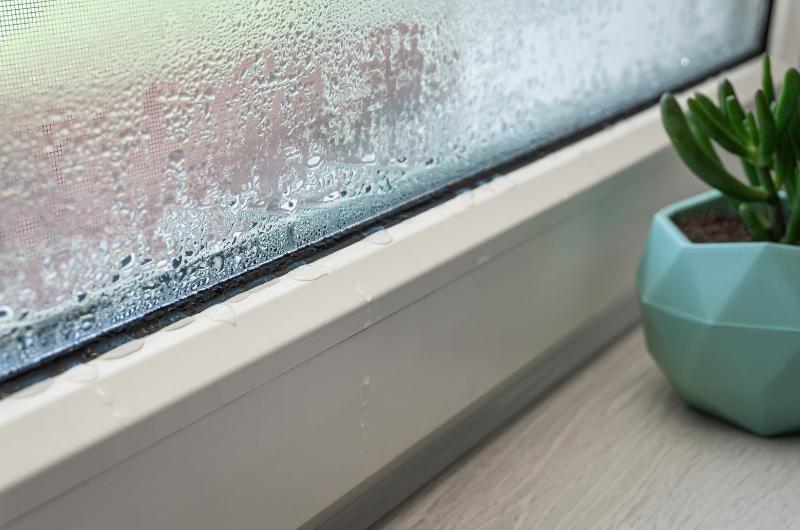 Zázračný trik našich babiček: Jak zastavit kondenzaci na oknech během pár dní