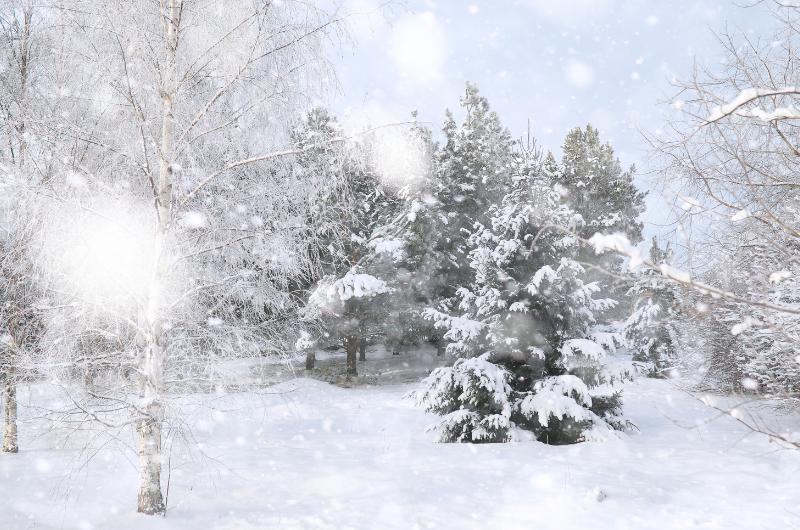 Výhled počasí na Vánoce je venku. Meteorologové naznačili možný obrat