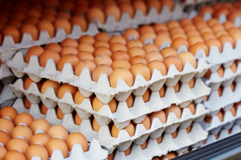 Kupujete největší vejce? Odborníci varují před častou chybou, kterou dělá většina Čechů