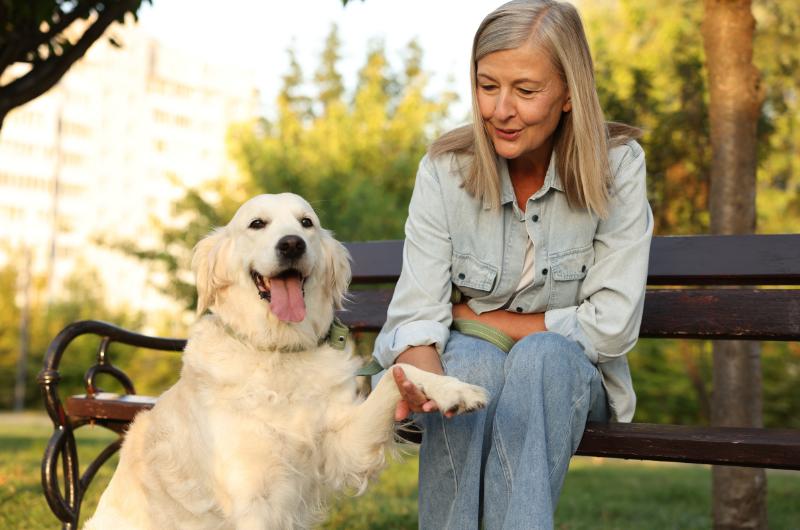Položí vám pes tlapku na ruku? Tohle gesto má hlubší význam, než si myslíte