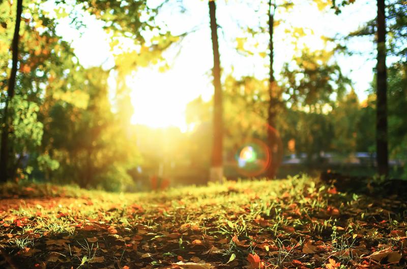 Evropu sevře vlna veder: Teploty mohou vystoupat až ke 44 °C, tropy dorazí i do Česka