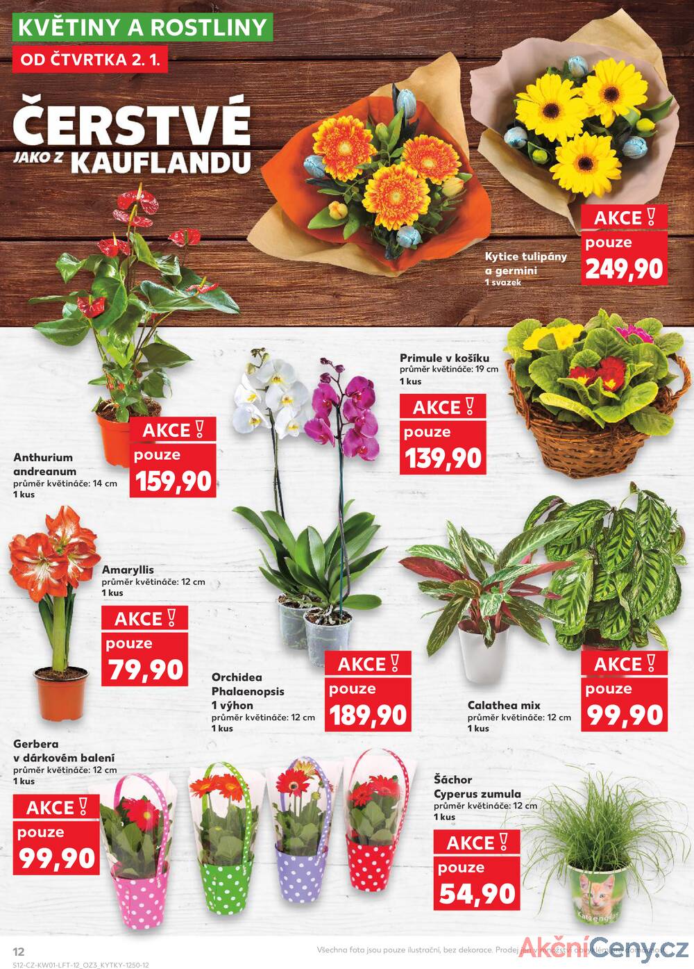 Leták Kaufland - Kaufland 2.1. - 7.1. - Kaufland - Mladá Boleslav - strana 12