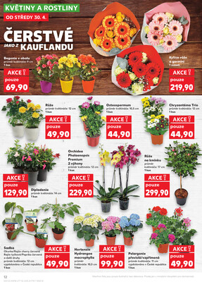 Kaufland 30.4. - 6.5. - Kaufland - Hradec Králové