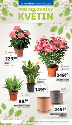 Lidl od 19.5. do 25.5.2025