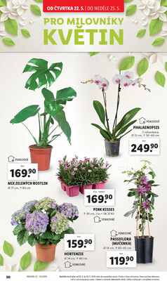 Lidl Čtvrtek od 22.5. do 25.5.2025