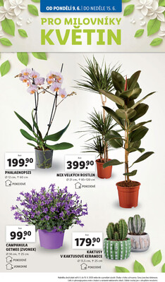 Lidl od 9.6. do 15.6.2025
