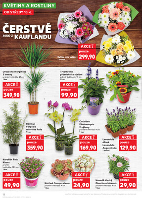 Kaufland 18.6. - 24.6. - Kaufland - Třeboň