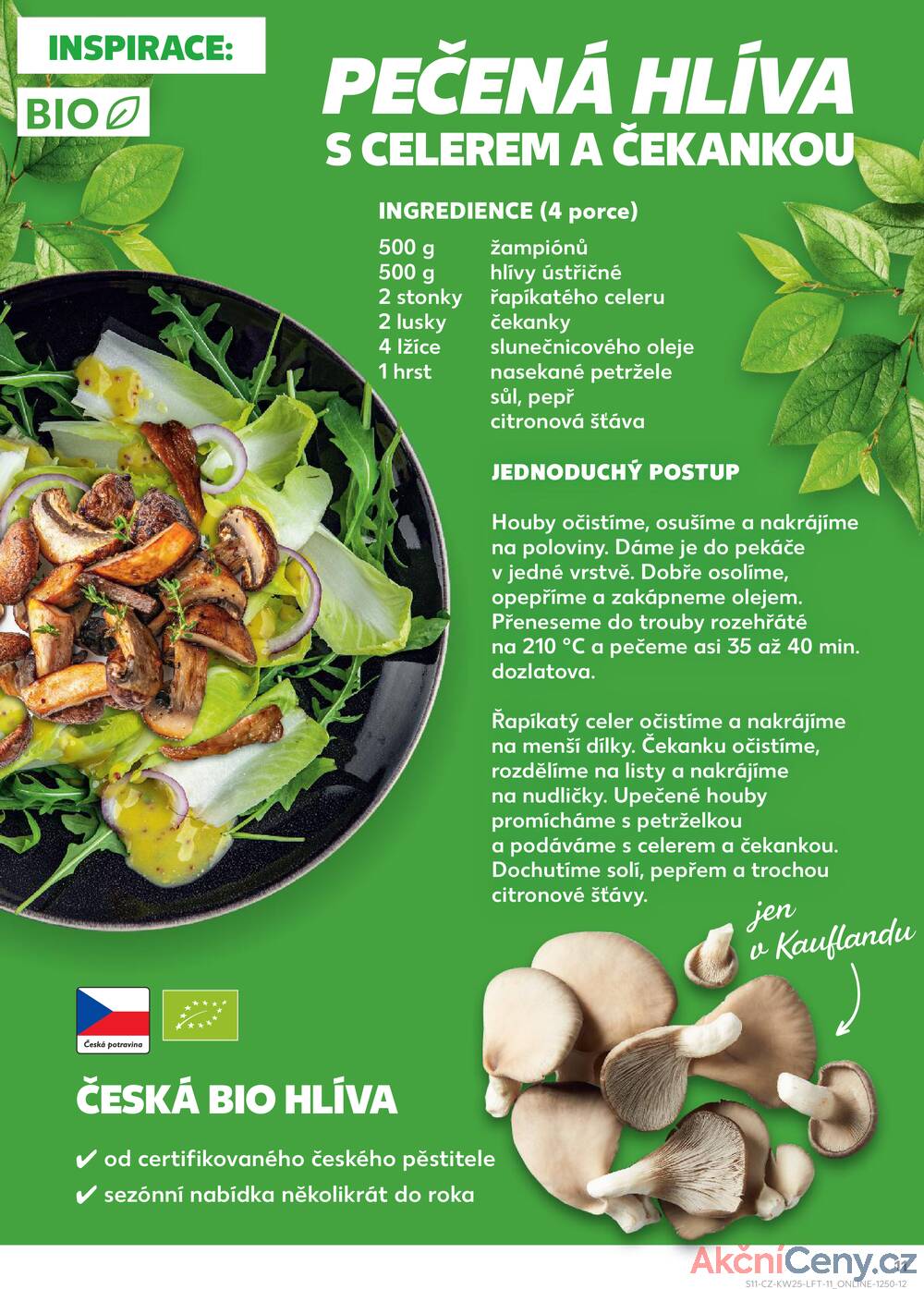 Leták Kaufland - Kaufland 18.6. - 24.6. - Kaufland - Rokycany - strana 11