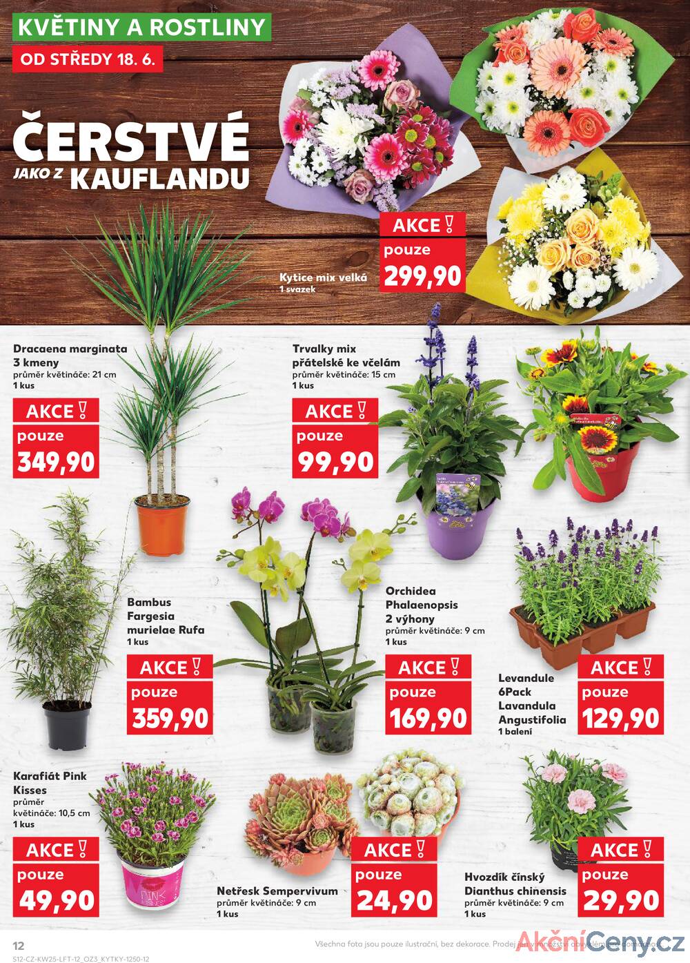 Leták Kaufland - Kaufland 18.6. - 24.6. - Kaufland - Lovosice (Siřejovická) - strana 12