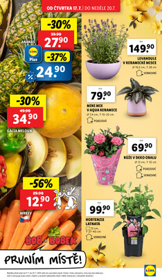 Lidl Čtvrtek od 17.7. do 20.7.2025