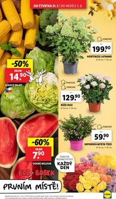 Lidl Čtvrtek od 31.7. do 3.8.2025