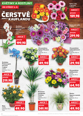 Kaufland 6.8. - 12.8. - Kaufland - Děčín