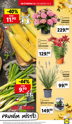 Leták Lidl
		  platný do 10.8.2025 - strana 9