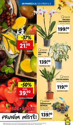 Lidl od 4.8. do 6.8.2025