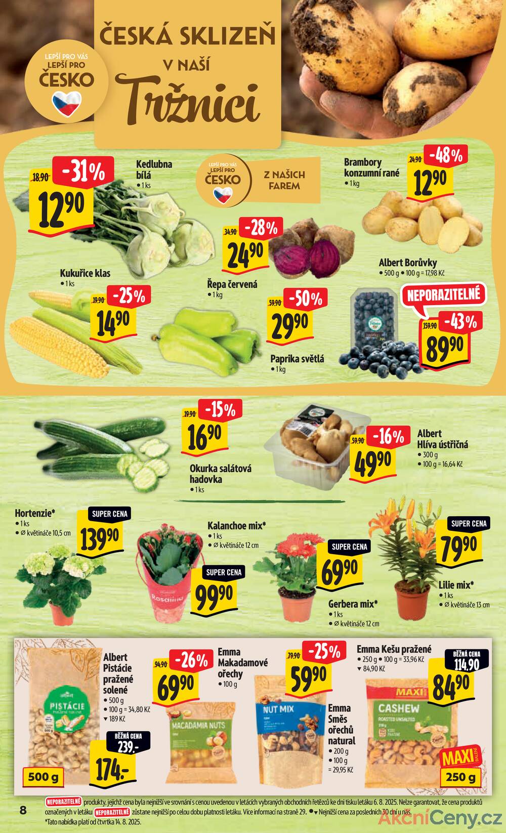 Leták Albert - Albert Hypermarket Jihomoravský od 13.8. do 19.8.2025 - strana 13