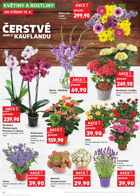 Kaufland 13.8. - 19.8. - Kaufland - Hodonín (Konečná)