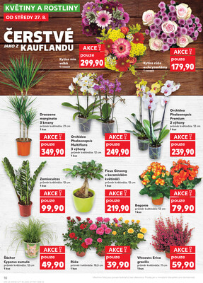 Kaufland 27.8. - 2.9. - Kaufland - Plzeň (Sukova)
