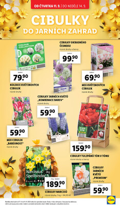 Lidl Čtvrtek od 11.9. do 14.9.2025