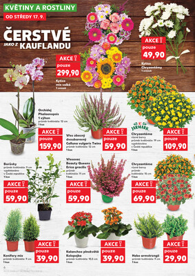 Kaufland 17.9. - 23.9. - Kaufland - Rakovník (ul. Luženská)