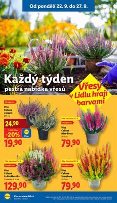 Leták Lidl
		  platný do 24.9.2025 - strana 33