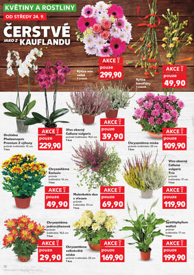 Kaufland 24.9. - 30.9. - Kaufland - Ostrava - Poruba