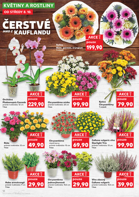 Kaufland 8.10. - 14.10. - Kaufland - Znojmo (Dukelských bojovníků)