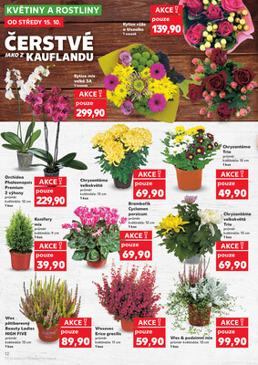 Kaufland 15.10. - 21.10. - Kaufland - Teplice (Čs. Dobrovolců)