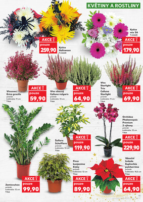 Kaufland 28.10. - 4.11. - Kaufland - Jablonec nad Nisou (U Kostela)