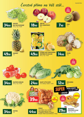 Terno České Budějovice, Třeboň, Trhové sviny, Bechyně, Týn nad Vltavou od 5.11. do 11.11.2025