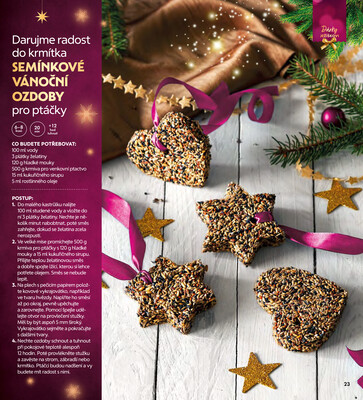 Albert Magazín do 26.11.