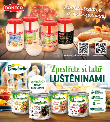 Albert Magazín do 26.11.