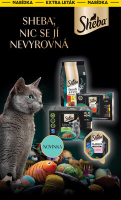 Albert Supermarket od 10.12. do 16.12.2025