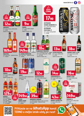 Terno České Budějovice, Olomouc, Hradec Králové, Třeboň, Trhové sviny, Bechyně, Týn nad Vltavou, Borovany od 2.1. do 6.1.2026