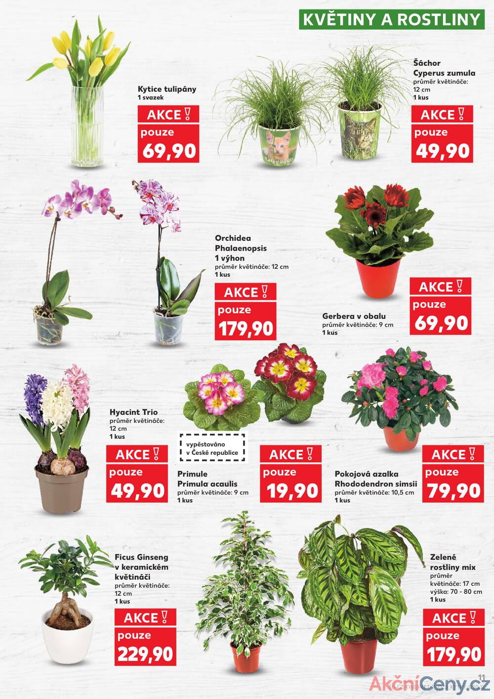 Kaufland 14.1. - 20.1. - Kaufland - Louny