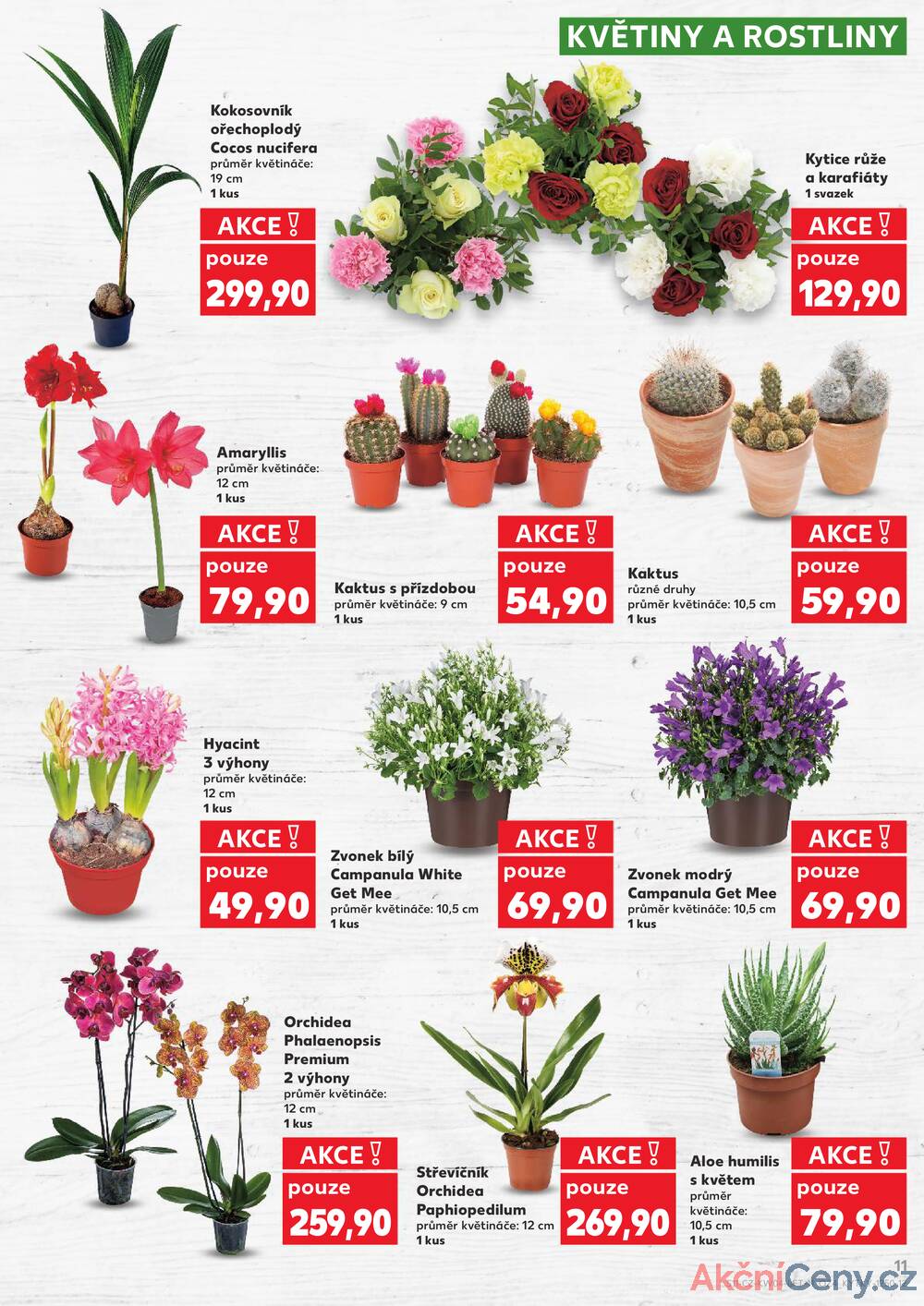 Leták Kaufland - Kaufland 21.1. - 27.1. - Kaufland - Brno - Židenice - strana 11