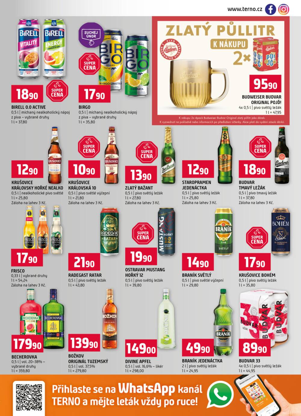 Terno České Budějovice, Třeboň, Trhové sviny, Bechyně, Týn nad Vltavou, Hradec Králové, Olomouc, Borovany od 4.2. do 10.2.2026