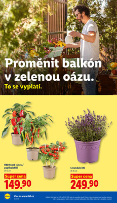 Lidl Čtvrtek od 21.5. do 24.5.2026