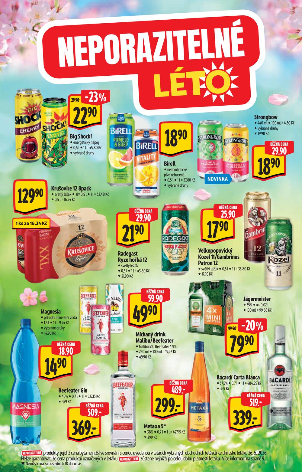 Albert Supermarket katalog Léto od 3.6. do 16.6.2026