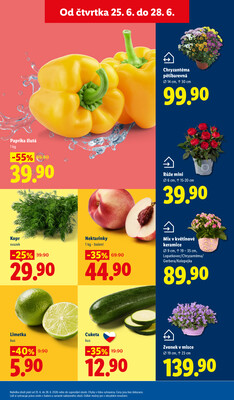 Lidl Čtvrtek od 25.6. do 28.6.2026