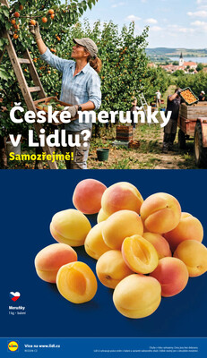 Lidl od 29.6. do 1.7.2026