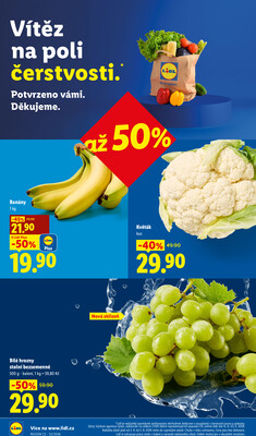 Lidl od 3.8. do 5.8.2026