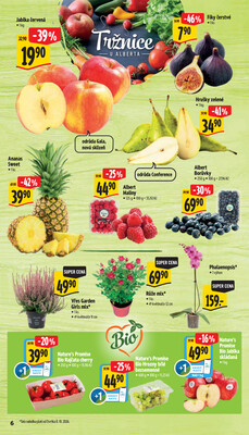 Albert Supermarket od 7.10. do 13.10.2026
