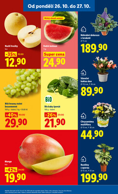 Lidl od 26.10. do 27.10.2026